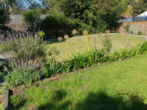 Poppies House - New Castle Holiday 1