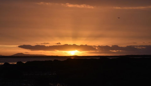 Port Albert Motel - New Castle Holiday 1