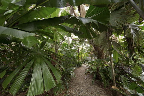 Rainforest Castaways Resort And Spa - New Castle Holiday 1