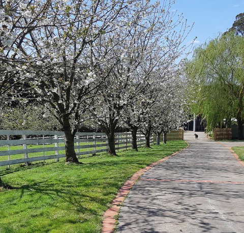 Ray's Farm - New Castle Holiday 1