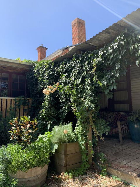 Red Hill Cottage - New Castle Holiday 2
