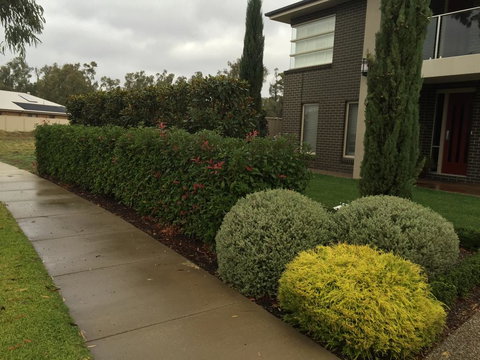 River View Heaven - New Castle Holiday 3