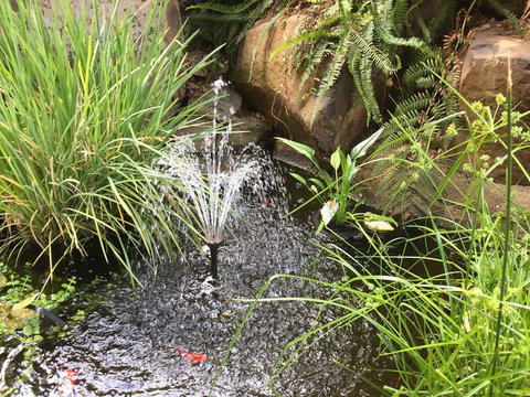 Rocky Rest - New Castle Holiday 3