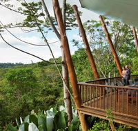 Rose Gums Wilderness Retreat - New Castle Holiday