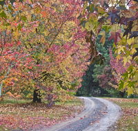 Rustic Spirit - New Castle Holiday