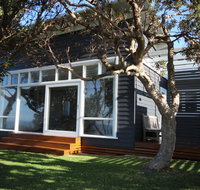 SEA URCHIN - New Castle Holiday