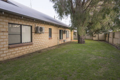 Seagull - New Castle Holiday 2