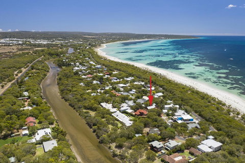 Seagull - New Castle Holiday 1