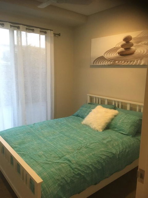 Seashells On Park Beach - New Castle Holiday 1