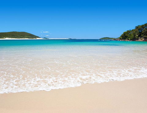 Shells On The Shore Holiday Accomm - Dolphins - New Castle Holiday 0