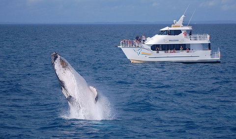 Shelly Beach Motel - New Castle Holiday 0