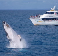 Shelly Beach Motel - New Castle Holiday