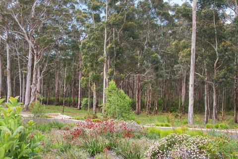 Shiraz Studio - New Castle Holiday 2