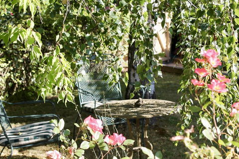 Silver Birch B&B - New Castle Holiday 3