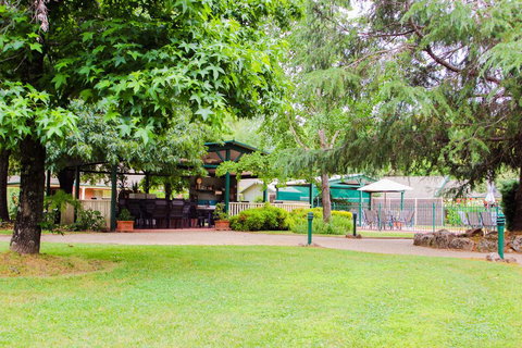 Silver Birches Holiday Unit 1 - New Castle Holiday 1