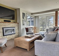 Ski Bird - New Castle Holiday