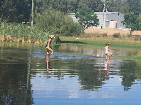 Something Different - New Castle Holiday 1