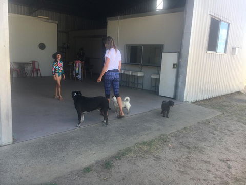 Something Different - New Castle Holiday 2