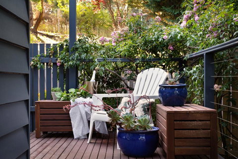 Sorella - New Castle Holiday 1