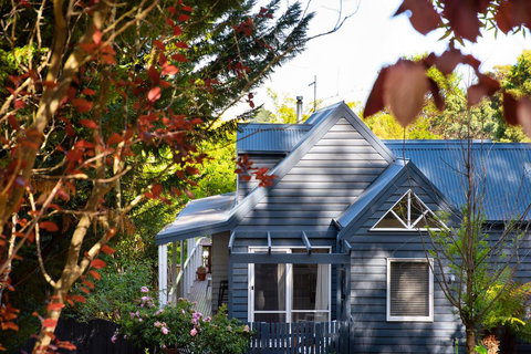 Sorella - New Castle Holiday 0