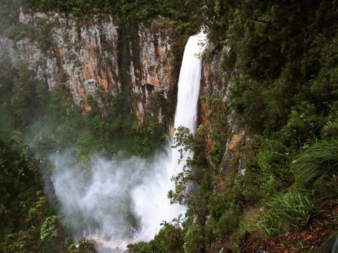 Springbrook Lyrebird Retreat - New Castle Holiday 2