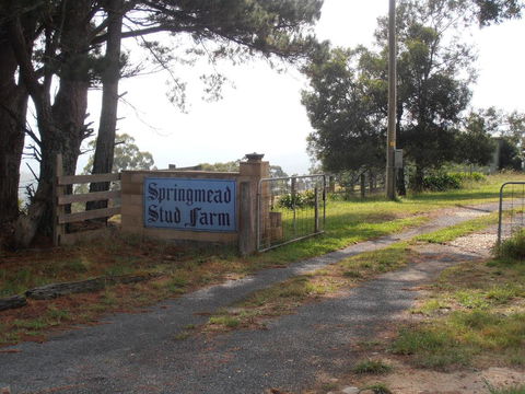 Springmead B&B - New Castle Holiday 2
