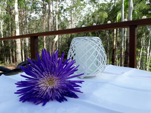 Stay @ The Cube - New Castle Holiday 1