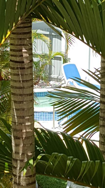 Studio Apartment Mooloolaba Beach Holiday Management - New Castle Holiday 0