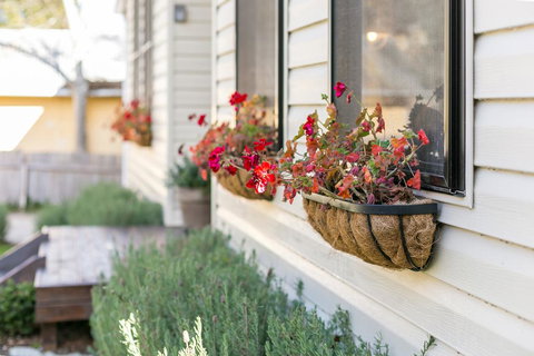 Sunnyside - New Castle Holiday 2