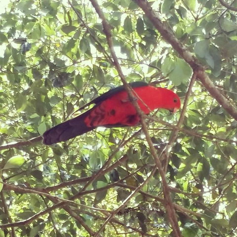 Sunshine Valley Cottages - New Castle Holiday 3