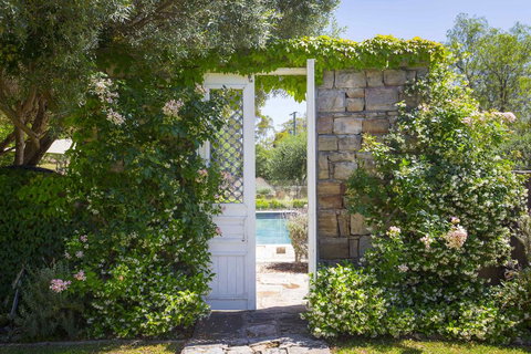 Talits Vineyard Estate - New Castle Holiday 2