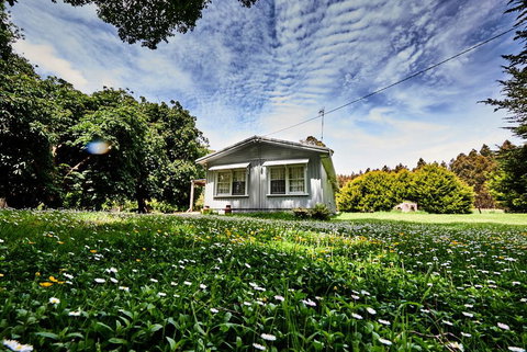 Tarkinegrove - New Castle Holiday 0