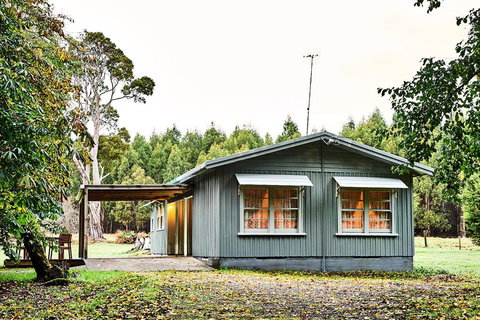 Tarkinegrove - New Castle Holiday 2