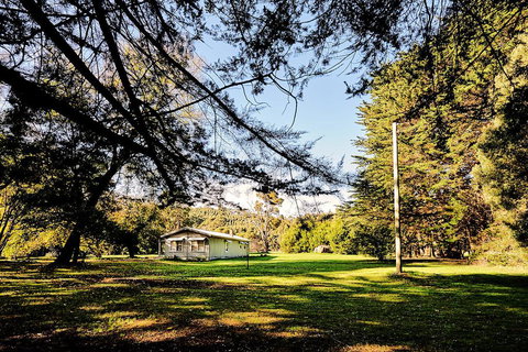 Tarkinegrove - New Castle Holiday 3