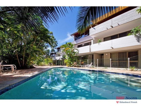 Tea Trees 4 - New Castle Holiday 1