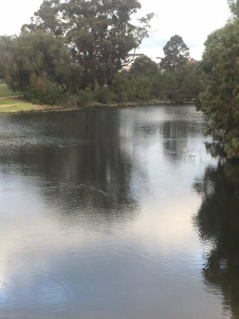 Telperon (2 Rooms, 3-4 Guests) - New Castle Holiday 3