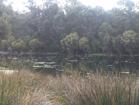 Telperon (2 Rooms, 3-4 Guests) - New Castle Holiday 1