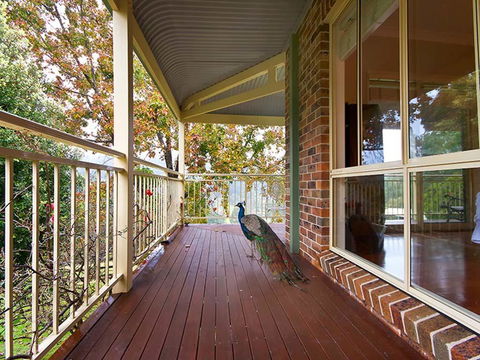 The Acreage Luxury B&B And Guesthouse - New Castle Holiday 1