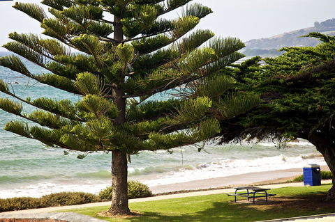 Penguin Beachfront Apartments - New Castle Holiday 9
