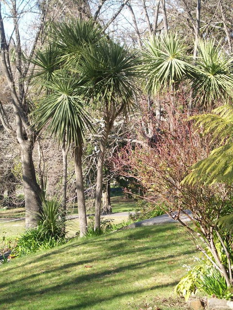 Lucinda B&B - New Castle Holiday 23