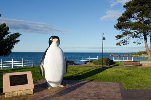 Penguin Beach House - New Castle Holiday 16