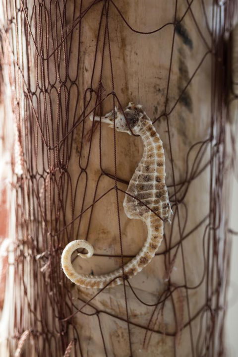 Larus Waterfront Cottage - New Castle Holiday 18