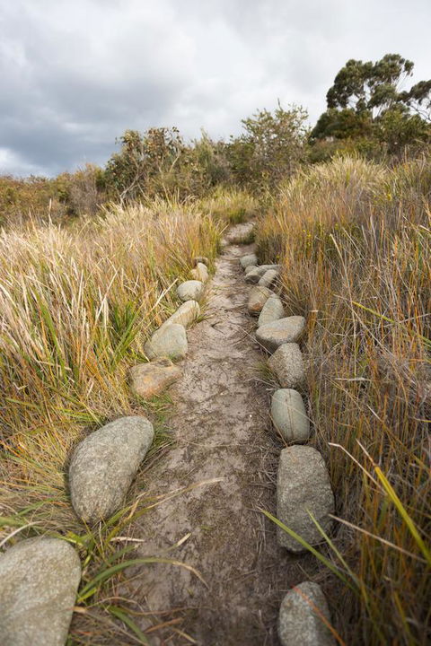 Larus Waterfront Cottage - New Castle Holiday 16