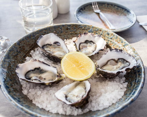 Eastcoaster Tasmania - New Castle Holiday 6