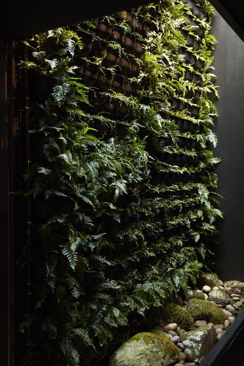 Moss Hotel - New Castle Holiday 2