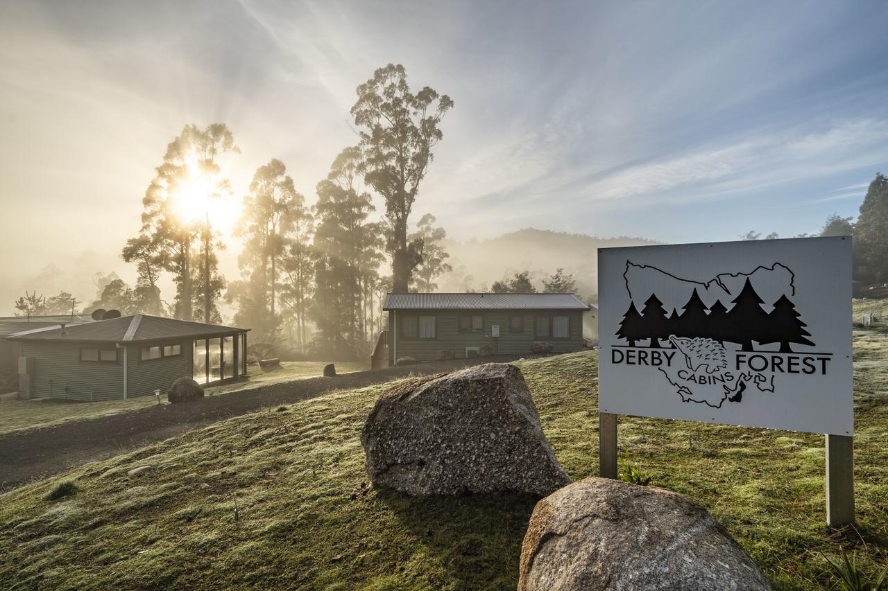 Telita TAS New Castle Holiday