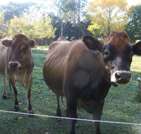 Drumreagh Bed  Breakfast Cabins - New Castle Holiday