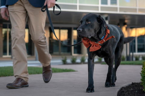 Peppers Silo - New Castle Holiday 44