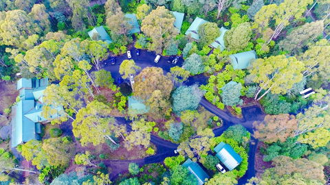 Lemonthyme Wilderness Retreat - New Castle Holiday 1