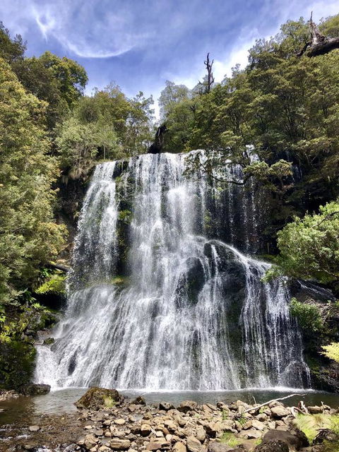 Lemonthyme Wilderness Retreat - New Castle Holiday 9